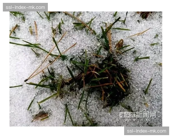 吉林主场小雨天气下进行比赛，天气因素考验球员适应能力